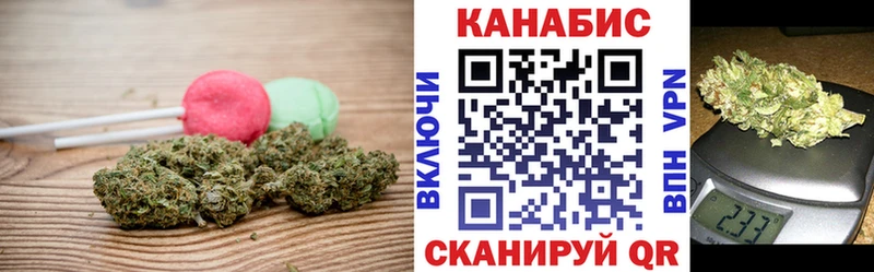 kraken онион  Знаменск  Cannafood конопля 