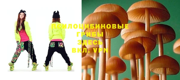 гашик Зеленокумск