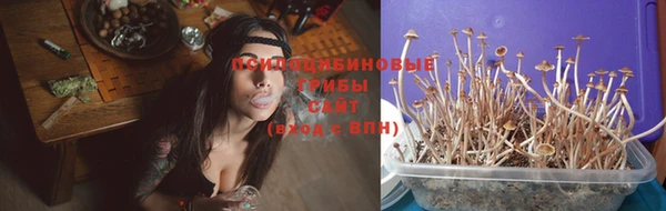 бутират Снежногорск