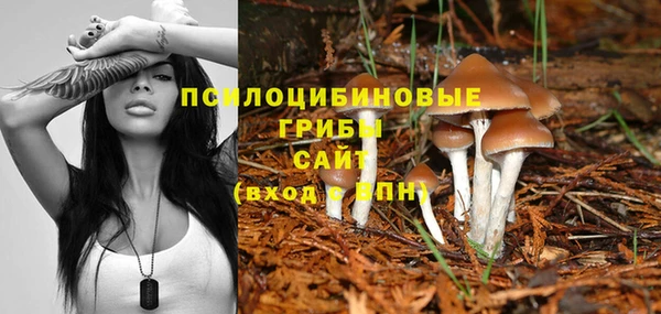 бутират Снежногорск