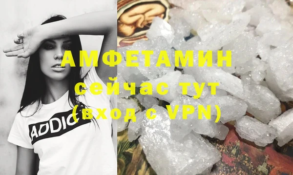 гашик Зеленокумск