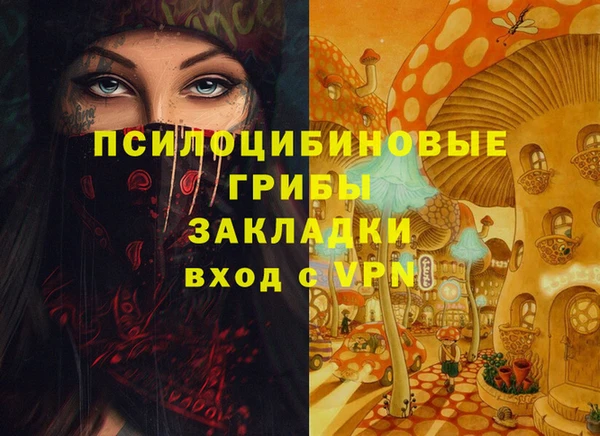бутират Снежногорск