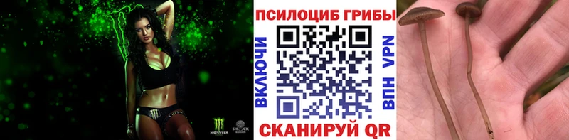 ОМГ ОМГ ССЫЛКА  Знаменск  Галлюциногенные грибы GOLDEN TEACHER 