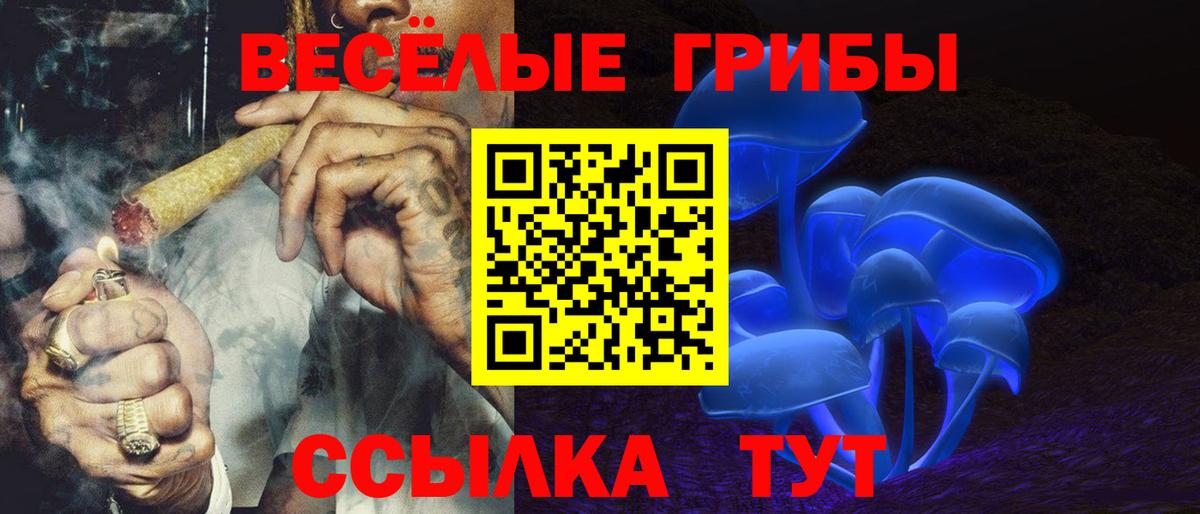 Знаменск  Галлюциногенные грибы Psilocybe  Псилоцибиновые грибы MAGIC MUSHROOMS  Вход с VPN 