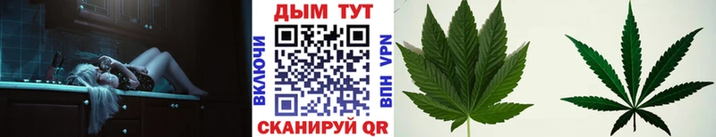 Бошки марихуана гибрид Знаменск